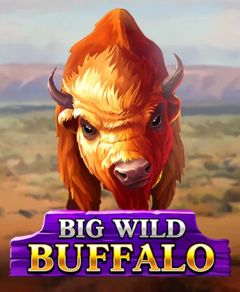 Play Big Wild Buffalo at Aus Lots Casino